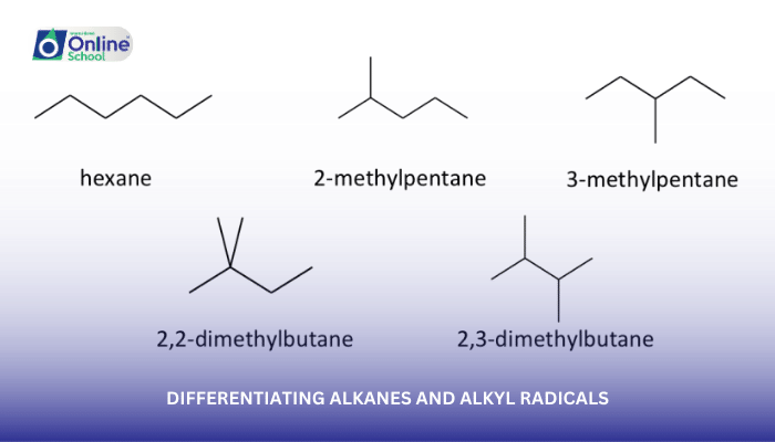 Lesson 10: Differentiating Alkanes and Alkyl Radicals